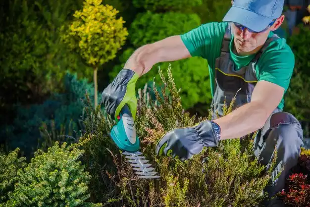 landscaping services Ridgecrest